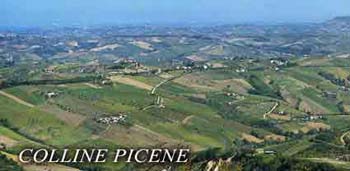 collinepicene